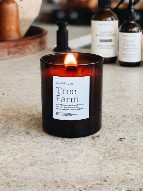 a lit christmas tree farm candle by wild capri lit on the kitchen counter 